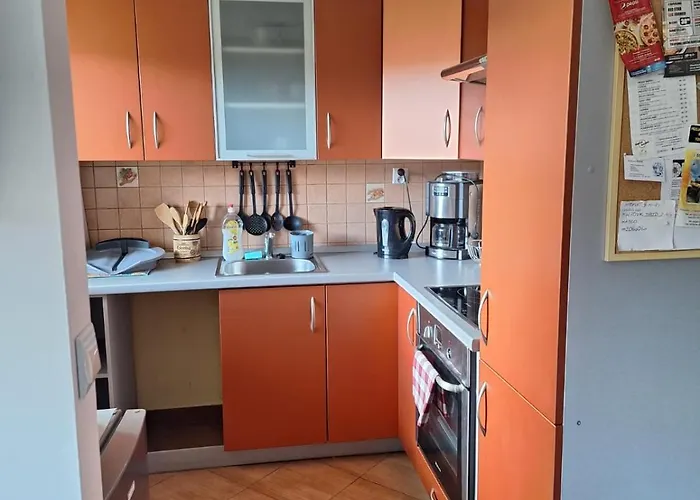 Апартаменты Witkowska-nocleg *