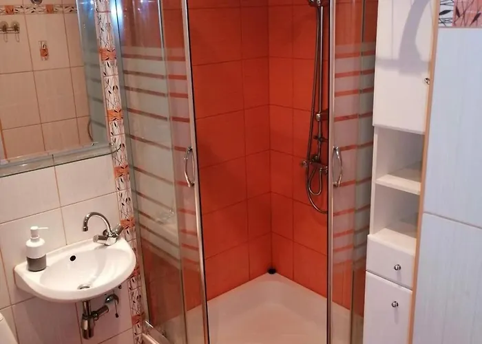 Witkowska-nocleg Апартаменты *